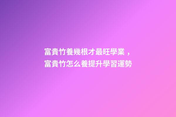 富貴竹養幾根才最旺學業，富貴竹怎么養提升學習運勢